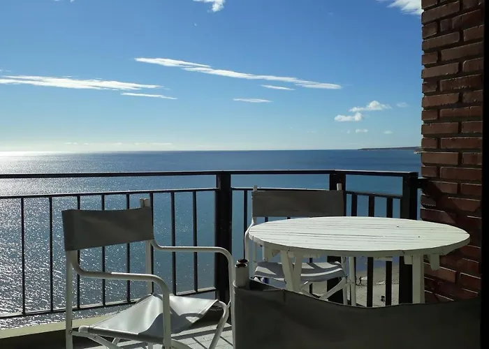 Ballenas Desde El Balcon